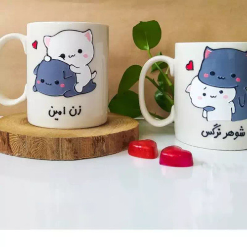 ماگ ( جعبه کادویی رایگان) ست
