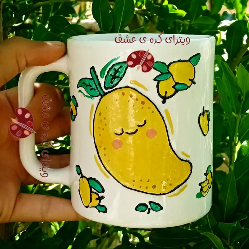 ماگ ( جعبه کادویی رایگان)  میوه ای قابل سفارش با تمامی میوه های مورد علاقه شما