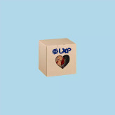 ماگ ( جعبه کادویی رایگان) تو زیباترین اتفاق زندگیمی آرسام محمد ، . .