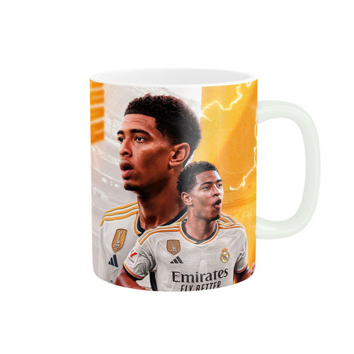 ماگ ( جعبه کادویی رایگان) بلینگهام کد 2558