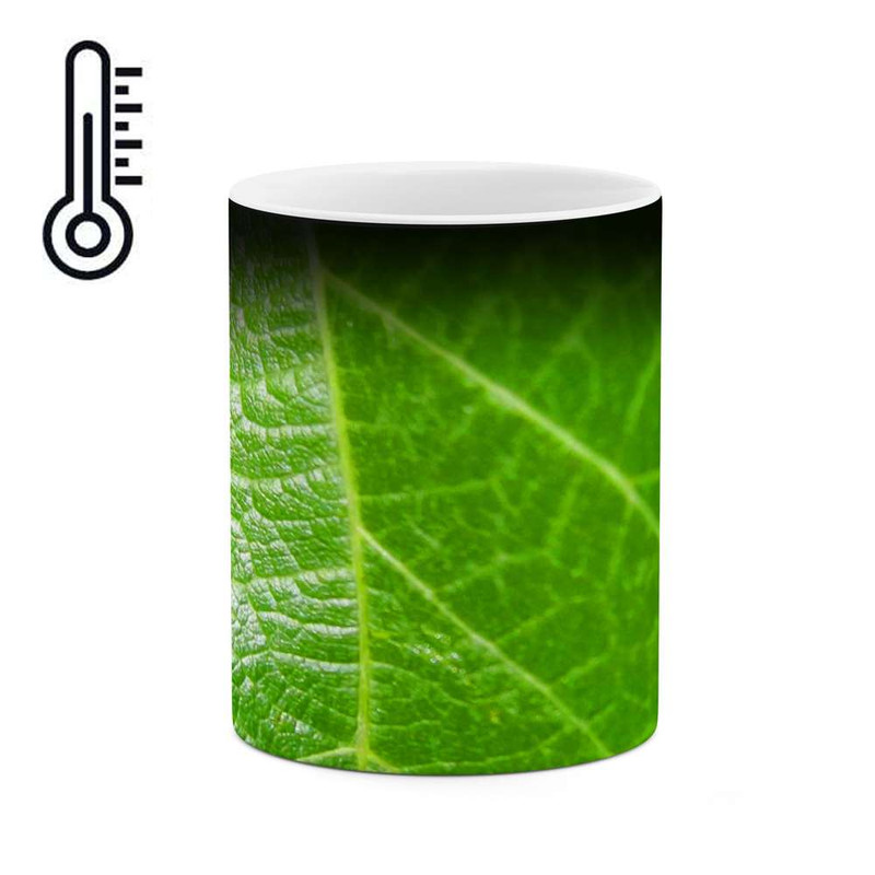 ماگ ( جعبه کادویی رایگان)  حرارتی   برگ کد mgh10817