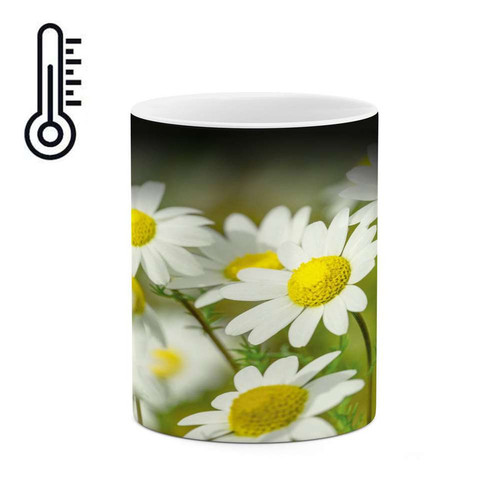 ماگ ( جعبه کادویی رایگان) حرارتی گل کد mgh16408