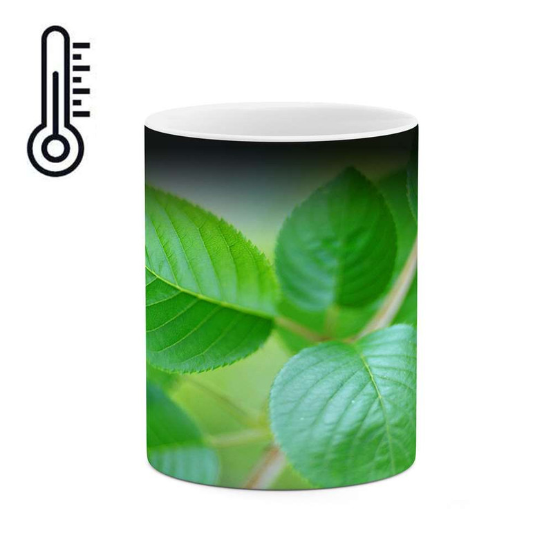 ماگ ( جعبه کادویی رایگان)  حرارتی   برگ کد mgh12203