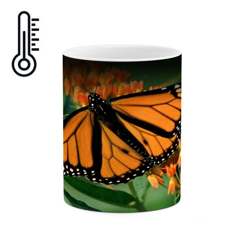 ماگ ( جعبه کادویی رایگان)  حرارتی   پروانه کد mgh17690