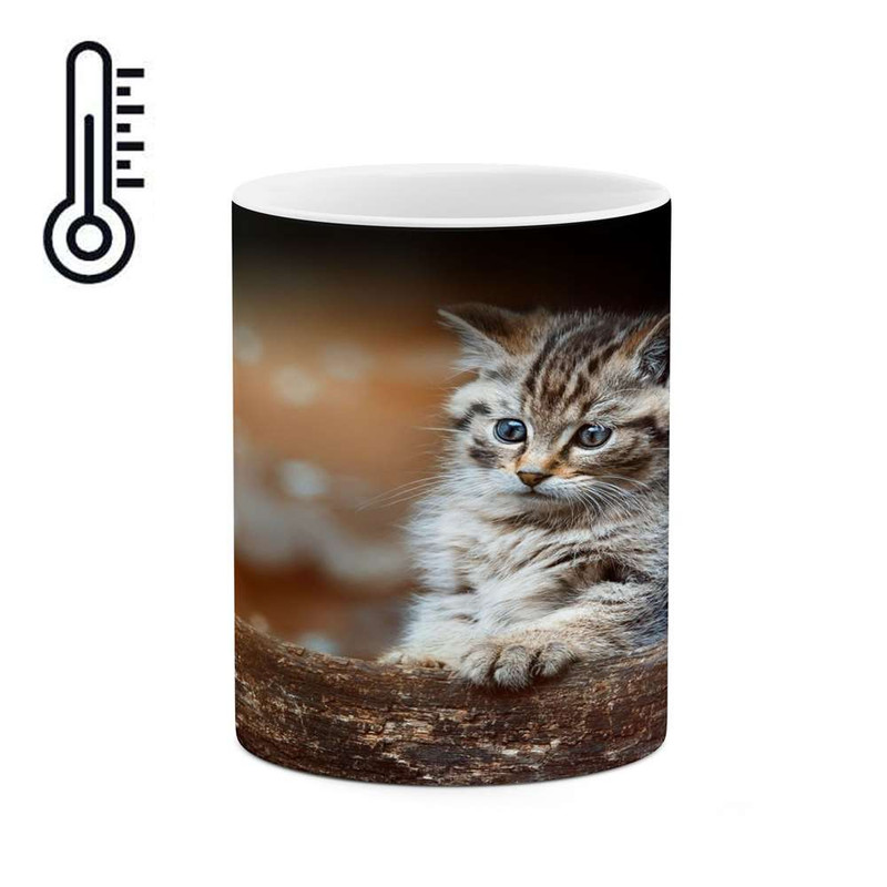 ماگ ( جعبه کادویی رایگان)  حرارتی   گربه کد mgh14208