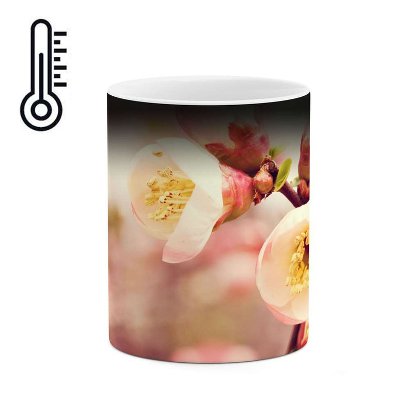 ماگ ( جعبه کادویی رایگان)  حرارتی   شکوفه گل کد mgh12077