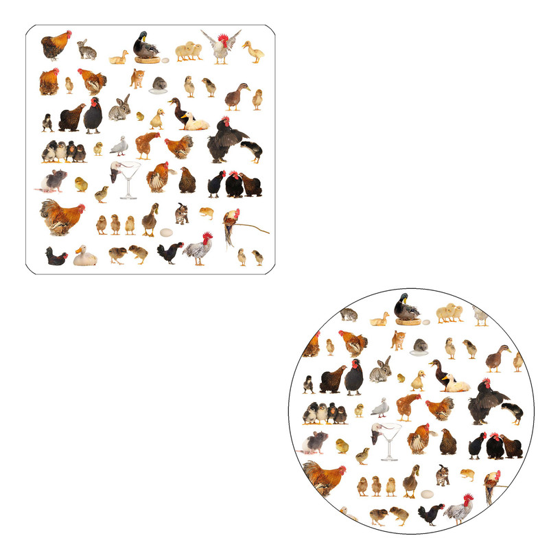 مگنت چیتوکالا طرح حیوانات کد w1 به همراه زیر لیوانی
