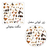 مگنت چیتوکالا طرح حیوانات کد w1 به همراه زیر لیوانی