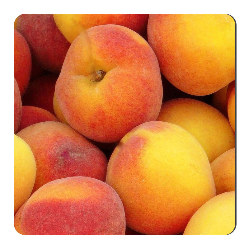 مگنت طرح هلو کد NIM1604