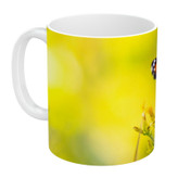 ماگ ( جعبه کادویی رایگان) طرح پروانه مدل NI1442