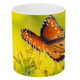 ماگ ( جعبه کادویی رایگان) طرح پروانه مدل NI1442
