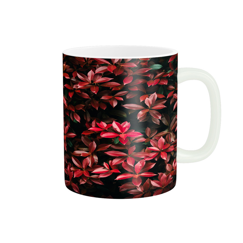 ماگ ( جعبه کادویی رایگان)  طرح گل و گیاه کد M281