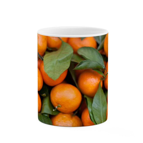 ماگ ( جعبه کادویی رایگان) چیتوکالا طرح نارنگی کد mgp10112