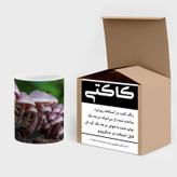 ماگ ( جعبه کادویی رایگان) چیتوکالا مدل قارچ کد mgh15556