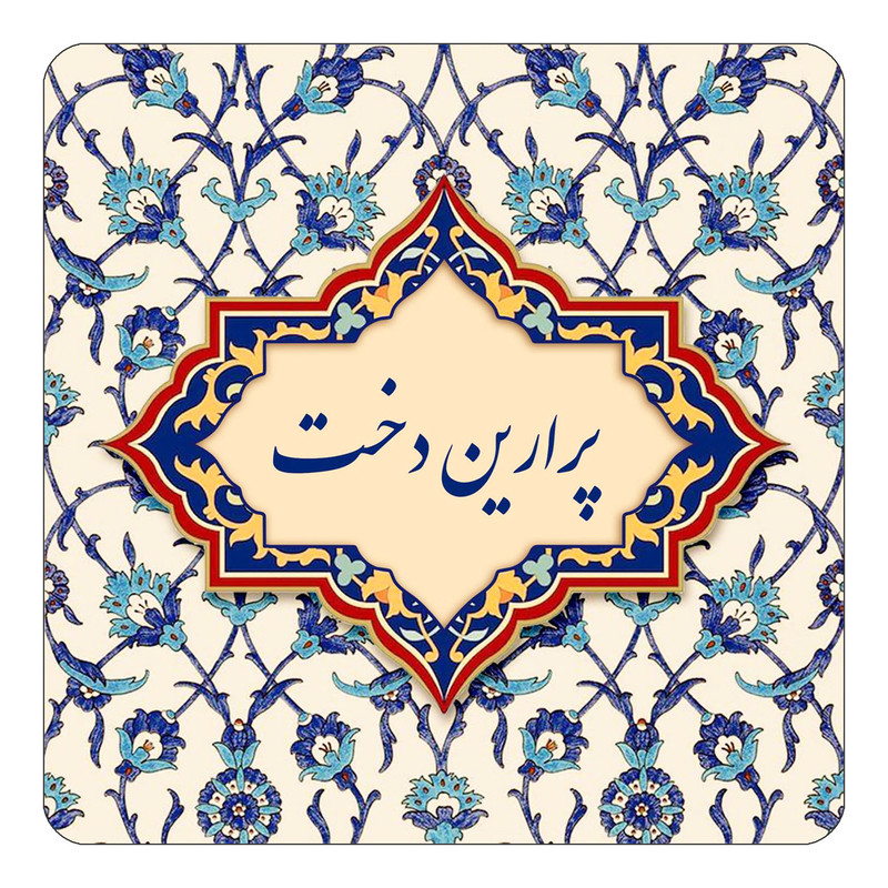 مگنت یخچالی چیتوکالا طرح اسم پرارین دخت مدل اسلیمی کد mn87599