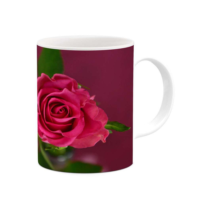 ماگ ( جعبه کادویی رایگان) چیتوکالا مدل گل کد mgh16373