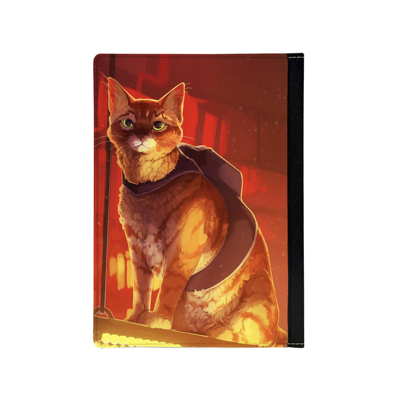 کلاسور مدل stray