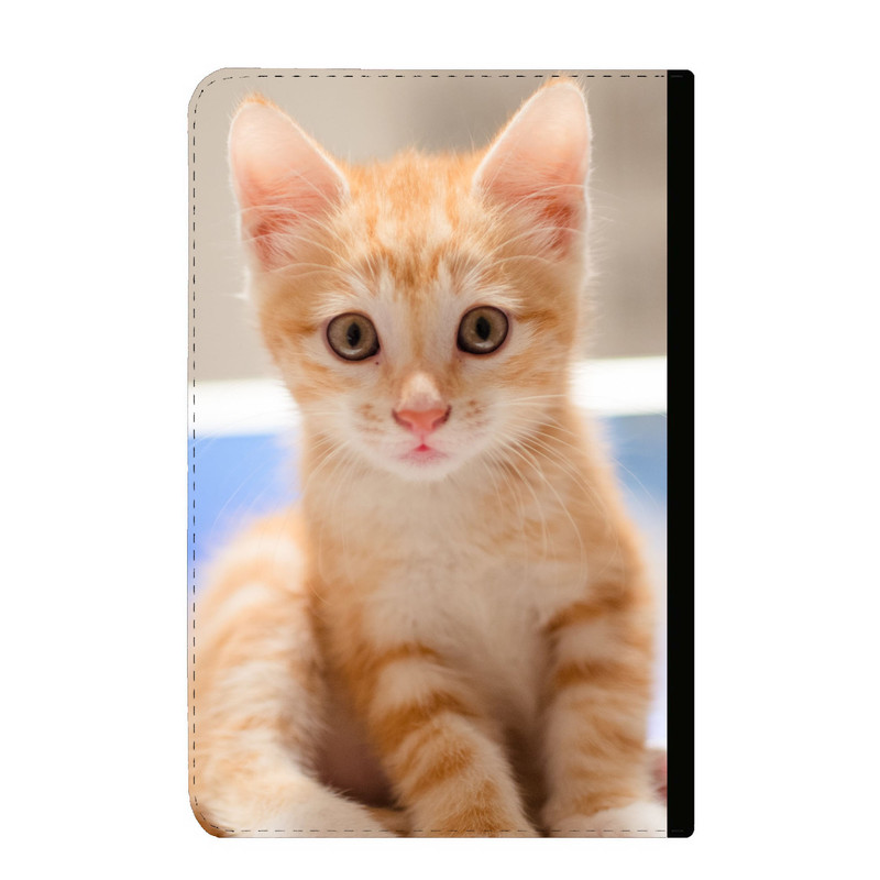 کلاسور مدل گربه ناز کد 660
