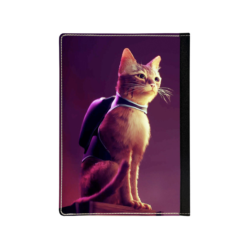 کلاسور مدل Stray