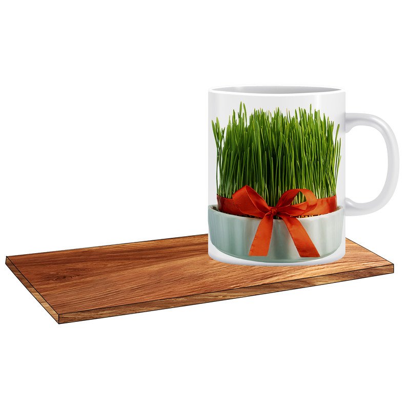 ماگ ( جعبه کادویی رایگان)   طرح سبزه هفت سین کد 384