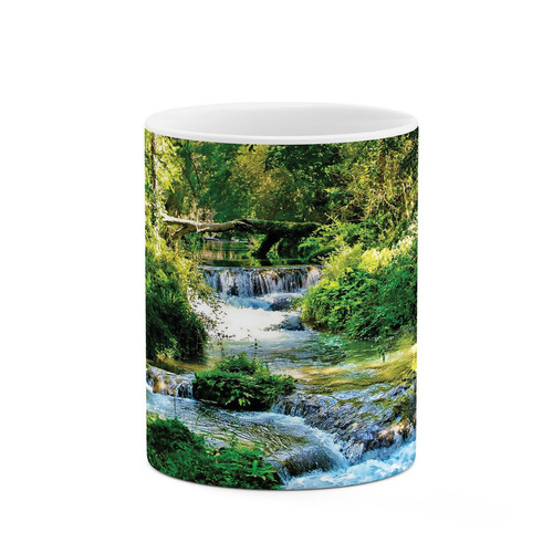 ماگ ( جعبه کادویی رایگان) چیتوکالاطرح طبیعت مدل mug03444