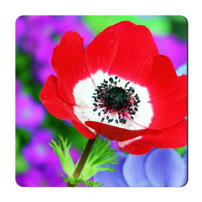 مگنت گالری باجو طرح گل کد flower 1