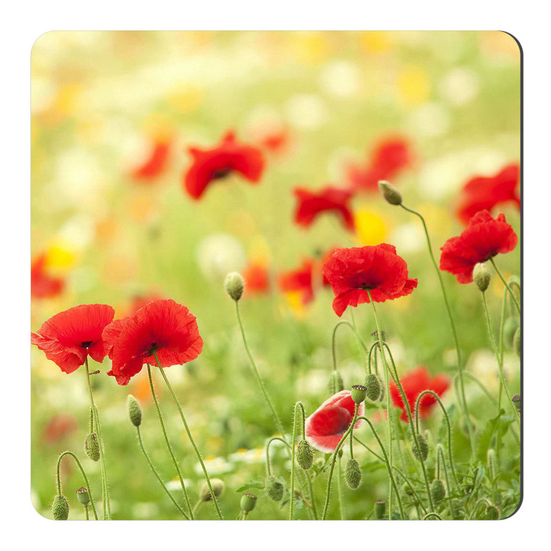 مگنت طرح گل شقایق کد NIM971